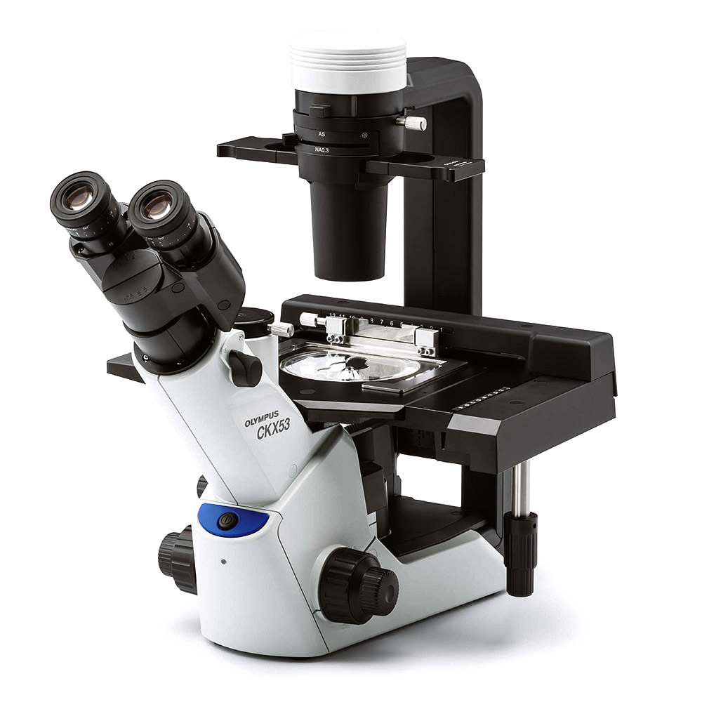 Роботизованные микроскопы Олимпус – хорошая основа для новых научных открытий