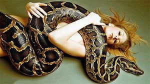 большая змея во сне к чему снится женщине