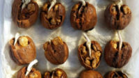 Неоценимая польза пророщенных грецких орехов