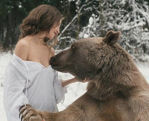 К чему снится медведь женщине