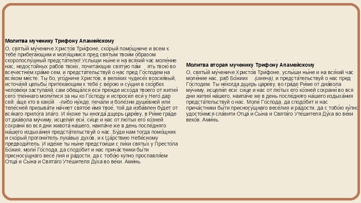 Молитва о работе. Молитва святому Трифону. Молитва Трифону мученику. Молитва Трифону о помощи в работе. Молитва святому мученику Трифону о помощи.