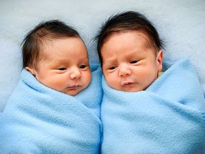 Приснились младенцы близнецы